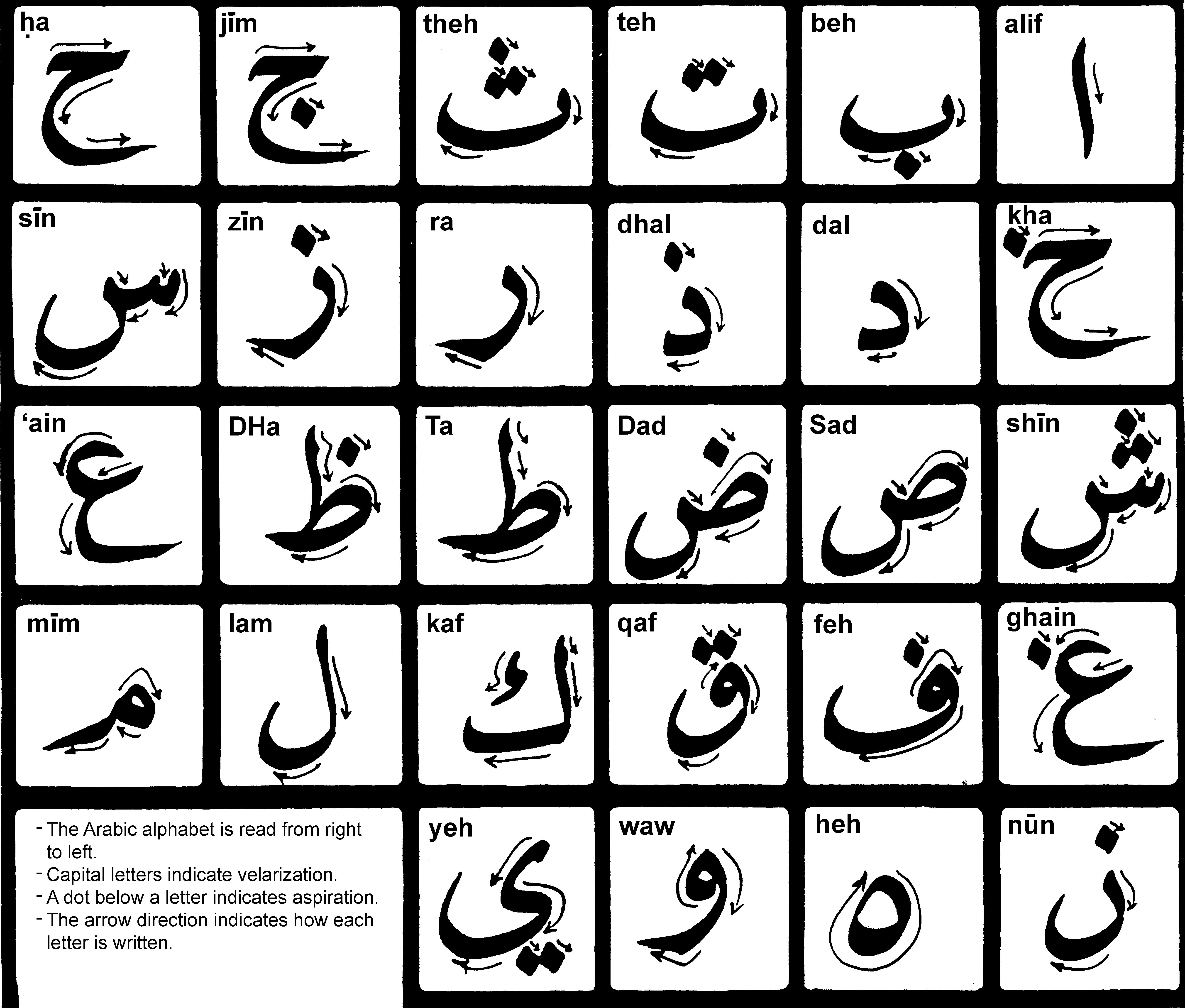 All about learning the Arabic Alphabet online | Fifty ...